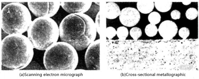 10-10 Scanning electron micrograph and cross-sectional metallographic image of sintered cobalt–chromium–molybdenum alloy particles.jpg